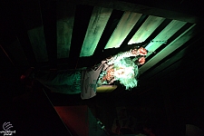 Scary Farm 2018