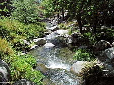 Knott's Berry Farm