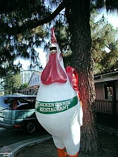 Knott's Berry Farm