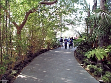 Knott's Berry Farm