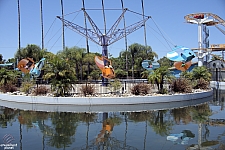 Surfside Gliders