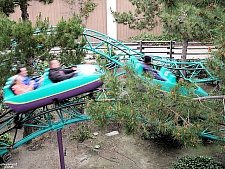 Timberline Twister