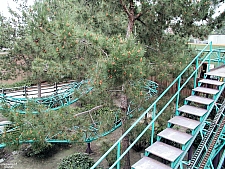 Timberline Twister