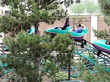 Timberline Twister