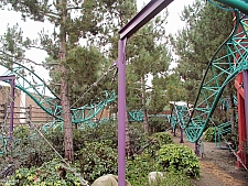 Timberline Twister