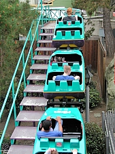 Timberline Twister
