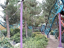 Timberline Twister