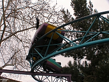 Timberline Twister
