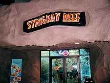 Sring Ray Reef