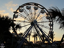 Century Wheel