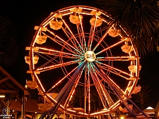 Century Wheel
