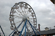 Century Wheel