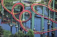 Anaconda