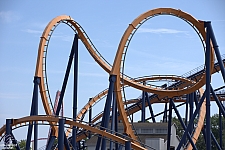 Dominator