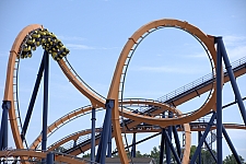 Dominator