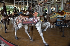 Carousel