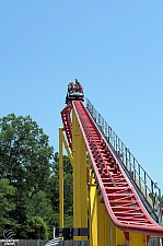 Pantherianac