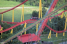 Pantherian