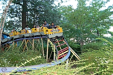 Great Pumpkin Coaster