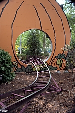 Great Pumpkin Coaster