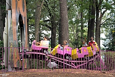 Great Pumpkin Coaster