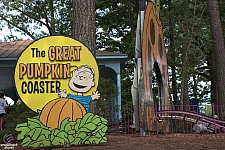 Great Pumpkin Coaster