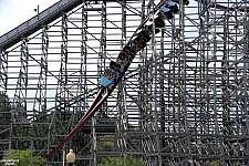 Twisted Timbers