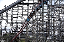 Twisted Timbers