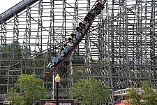 Twisted Timbers