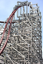 Twisted Timbers