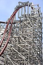 Twisted Timbers