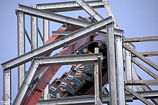 Twisted Timbers