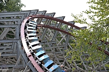 Twisted Timbers