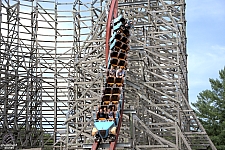 Twisted Timbers