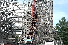 Twisted Timbers