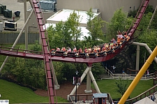 Diamondback