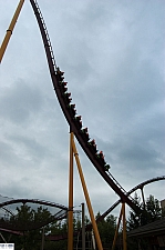 Diamondback