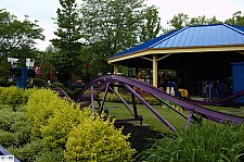 Great Pumpkin Coaster