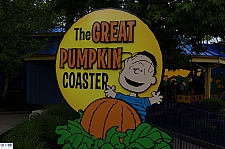 Great Pumpkin Coaster