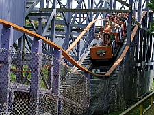 Woodstock Express