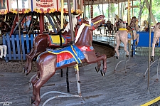 Herschell-Spillman Carousel