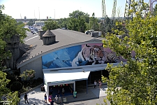 Lagoon
