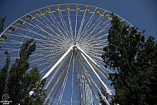 Rides