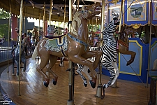 Merry-Go-Round