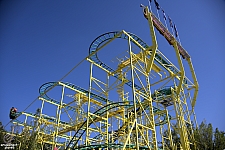 Wild Mouse