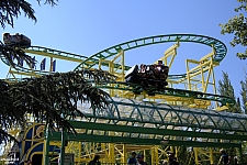 Wild Mouse
