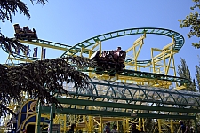 Wild Mouse