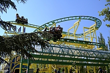 Wild Mouse