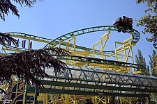 Wild Mouse