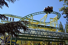 Wild Mouse